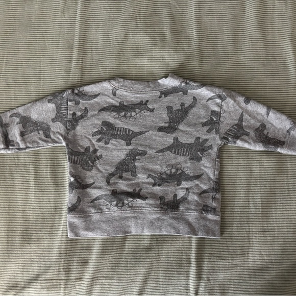 Gray and Green Dinosaur Baby Outfit Set - Picture 7 of 7